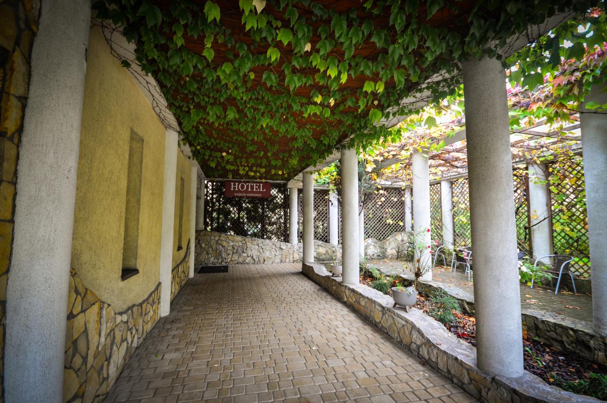 Hotel Trzy Swiaty Spa & Wellness Rajska Wyspa グリヴィツェ エクステリア 写真