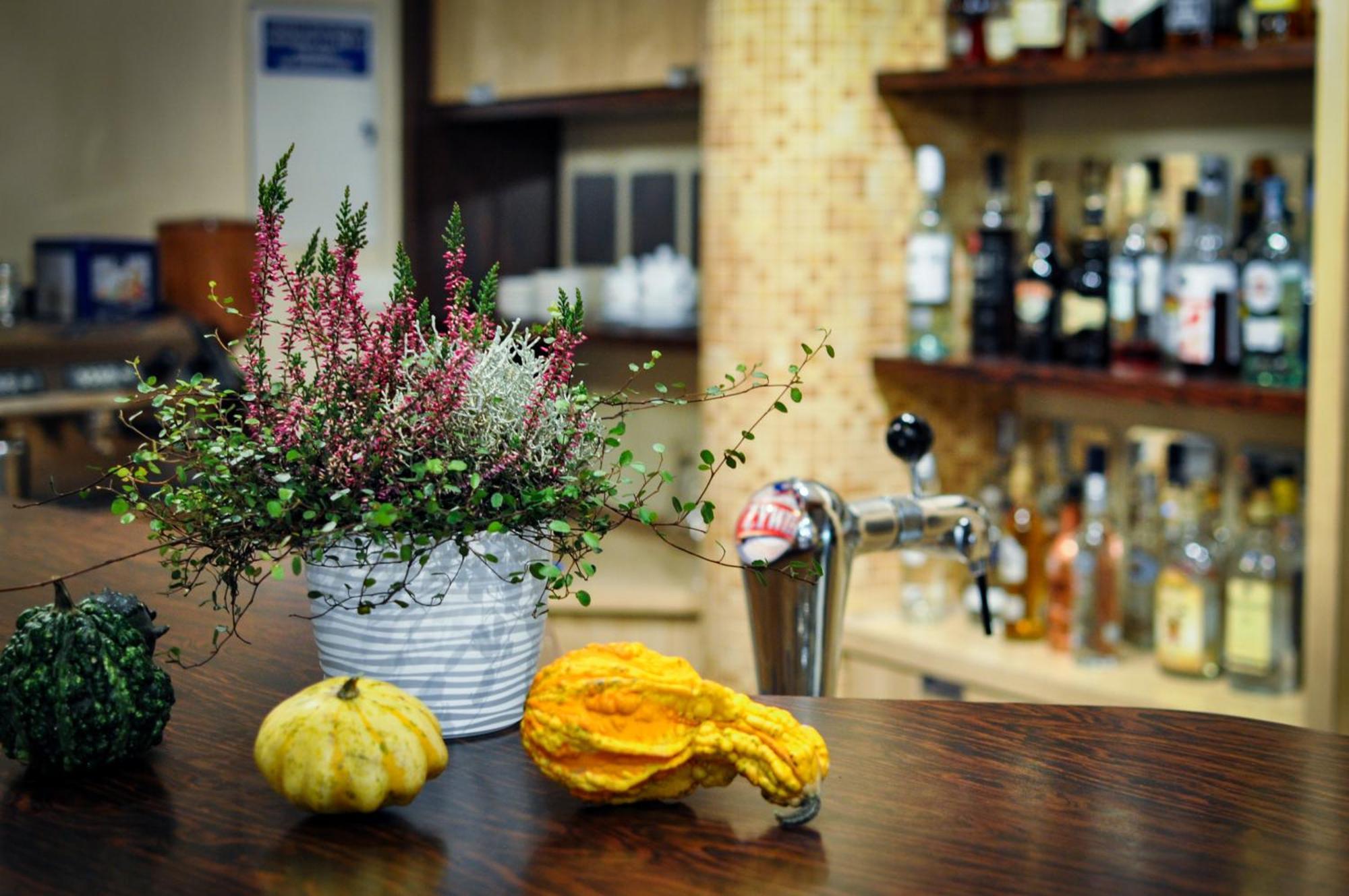 Hotel Trzy Swiaty Spa & Wellness Rajska Wyspa グリヴィツェ エクステリア 写真
